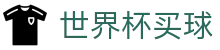 FIFA 2026世界杯买球FIFA · 安全加密通道